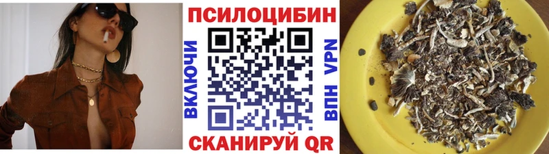 Псилоцибиновые грибы GOLDEN TEACHER  Зеленоградск 